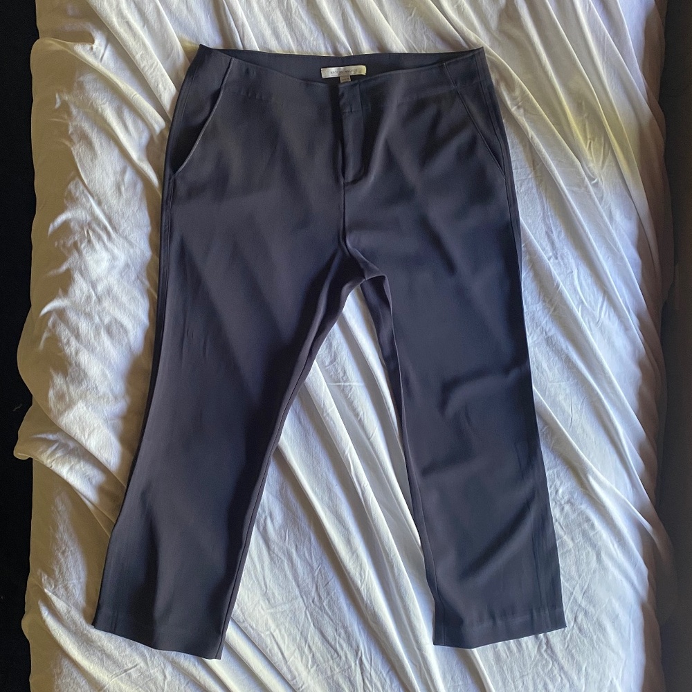 NWOT Brochu Walker Gray Dress Pants W's Large Elevated Classic Casual Luxury